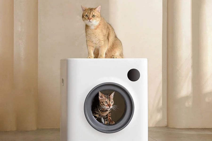 best cat litter box for large cats